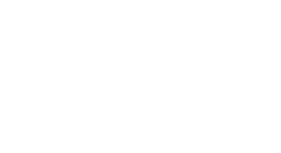 VPV Invest